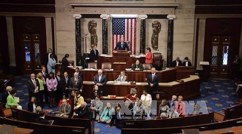 Die demokratischen Abgeordneten fordern Verschärfung der Waffengesetze in den USA - ảnh 1